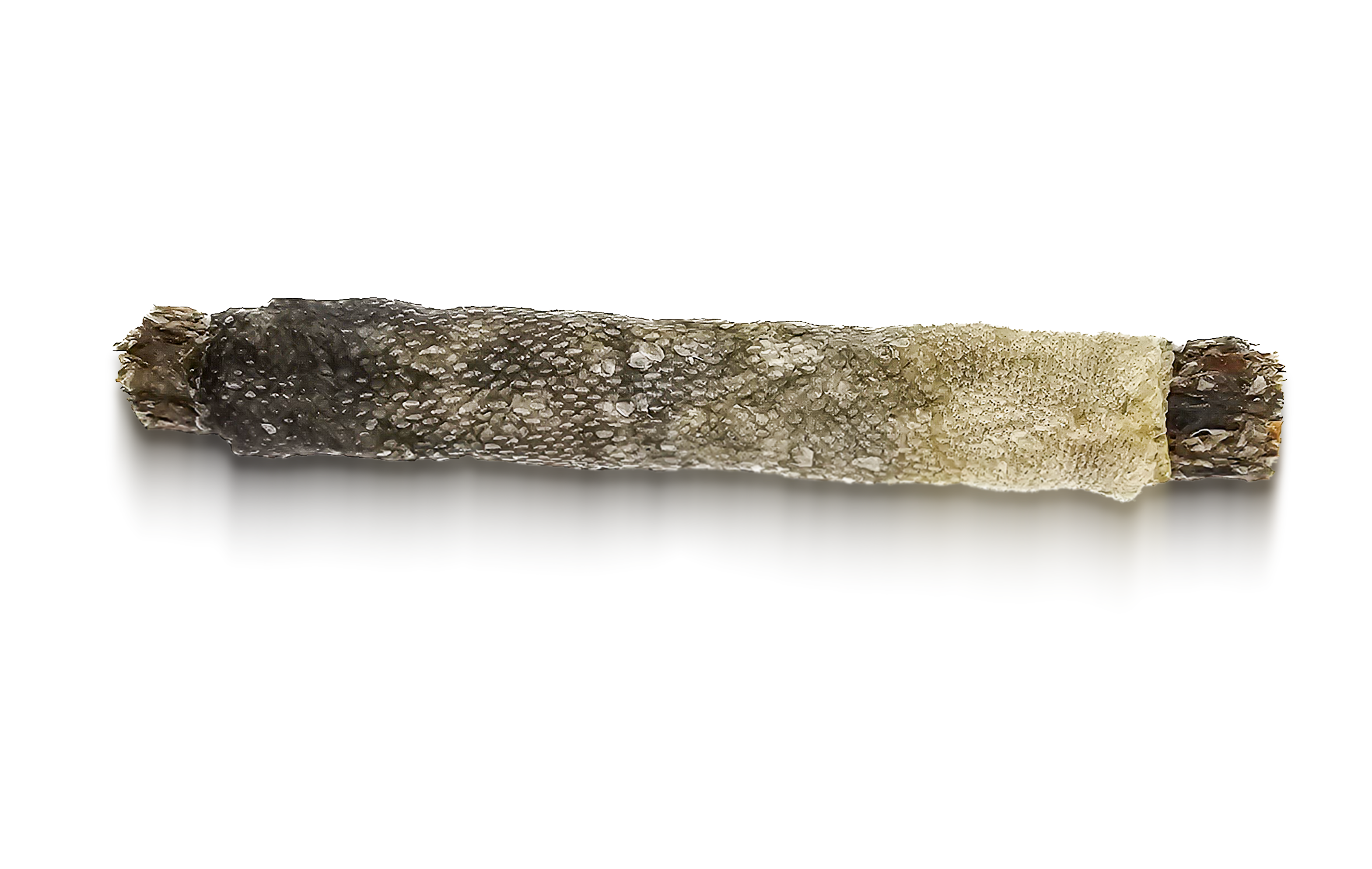 Kauw-Hotdog voor hond - paardenvlees met bramen in kabeljauwvel 2 stuks